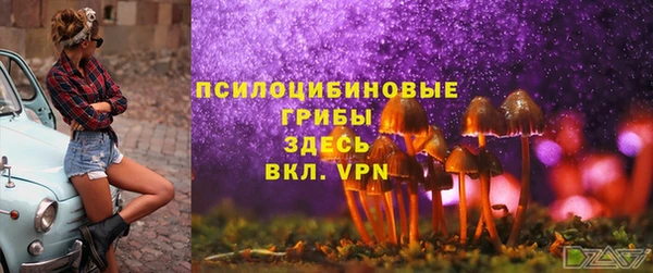 МДПВ Ростов