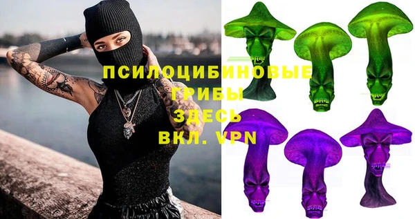 дмт Россошь
