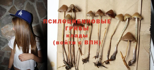 дмт Россошь