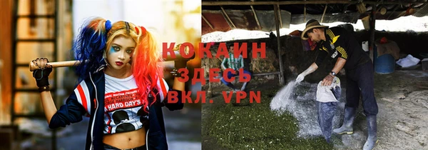 МДПВ Ростов